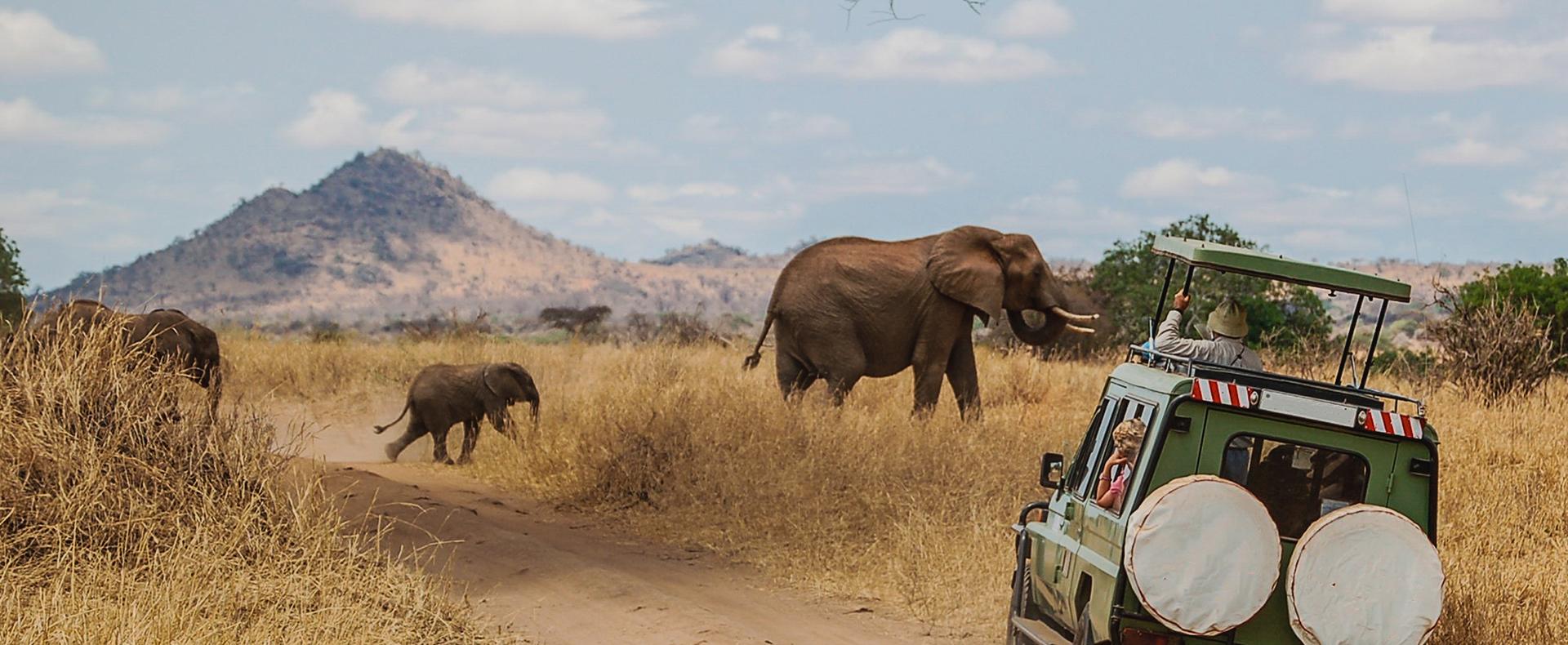 Un safari n'est pas un voyage comme les autres ...