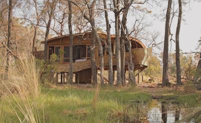 andbeyond sandibe okavango safari lodge