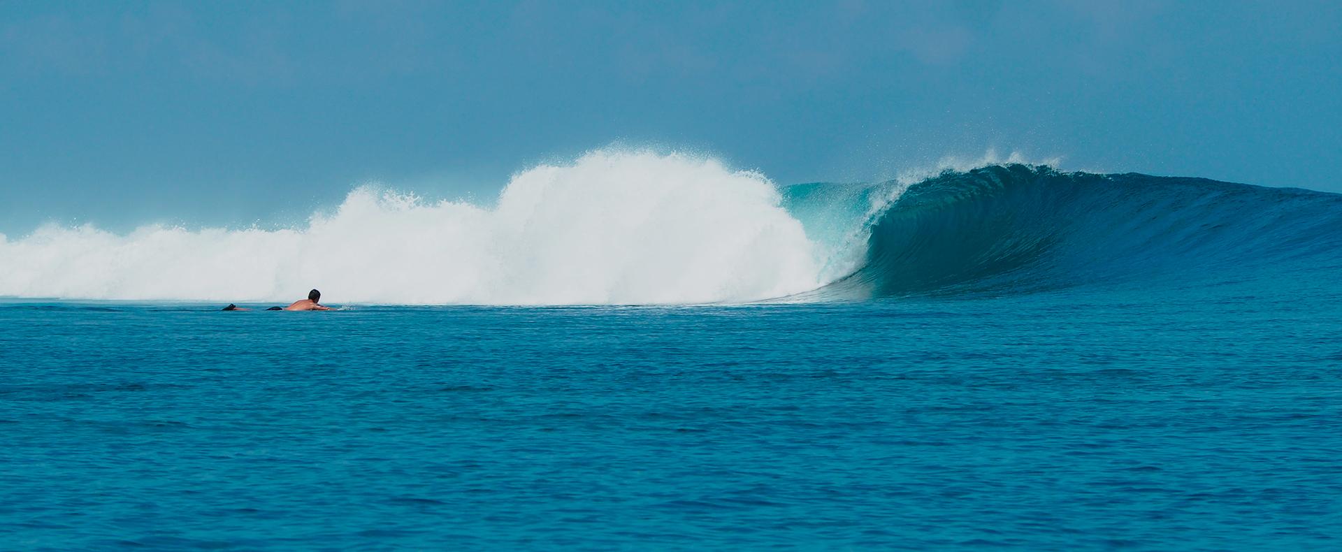 Surftrip indonésien à Mentawai