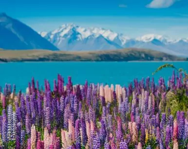 Paysages grandioses des 2 îles
